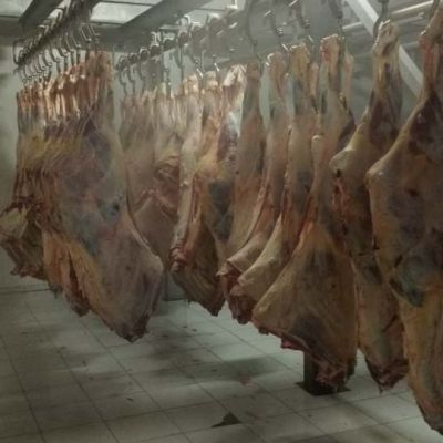 abattoir